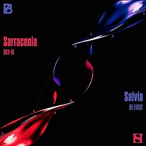 Sarracenia